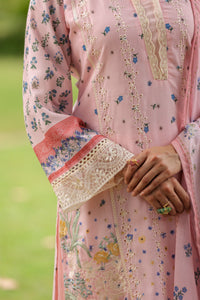 🌸 GULABI MADHAVI — Elegance in Every Thread 🌸